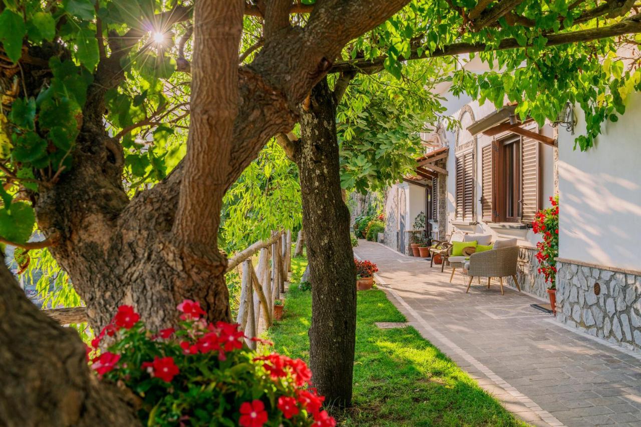 Monte Brusara Relais Bed and breakfast