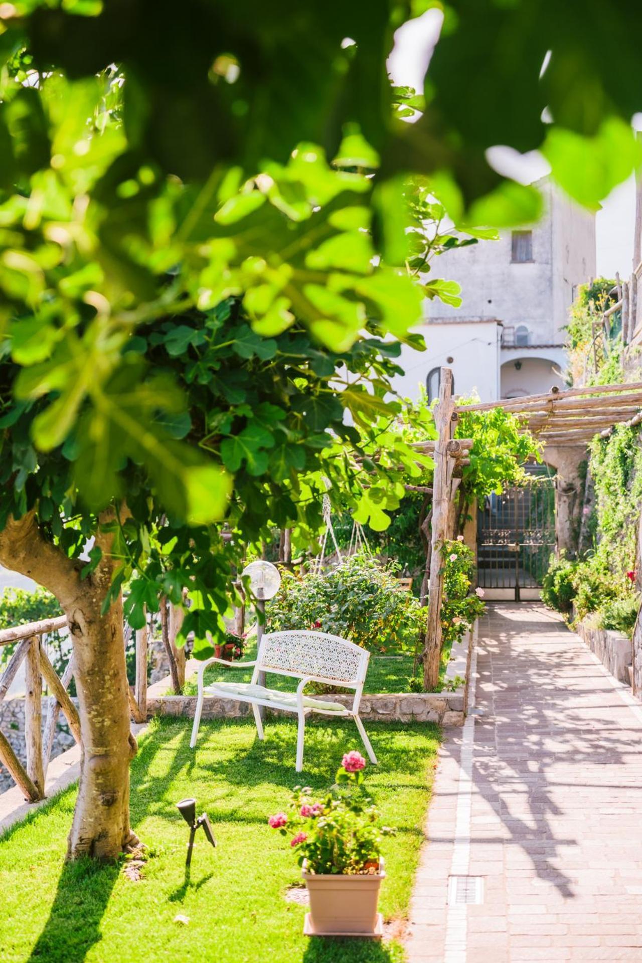 Monte Brusara Relais Bed and breakfast